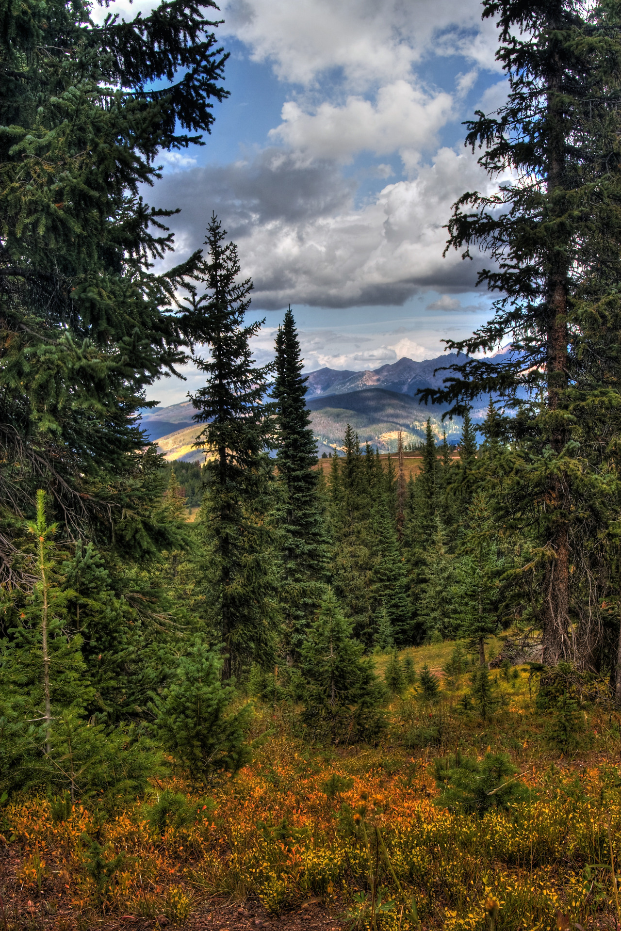 breathtakingdestinations:    Rocky Mountains - Colorado - USA (by Jason St Peter) 