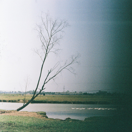 imshootingfilm: untitled by Ami Hà on Flickr.