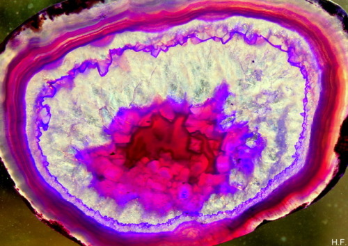 A Piece Of Purple Agate.