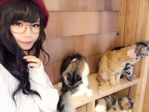 猫耳ここ子✡さんはTwitterを使っています: &ldquo;11/14、15に秋葉原で開催される、ホビージャパンさん主催キャラフェスのイベントに、 キャラスタッフとして参加決定しましたーん