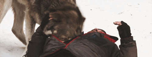 marielikestodraw:  nyenoi:  the bourne legacy behind the scenes  Well, finish me