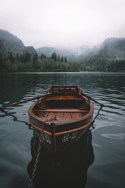 alecsgrg:Lake Bled, Slovenia | ( by Philipp Heigel )Amamos las mismas cosas pero en ningún punto de 