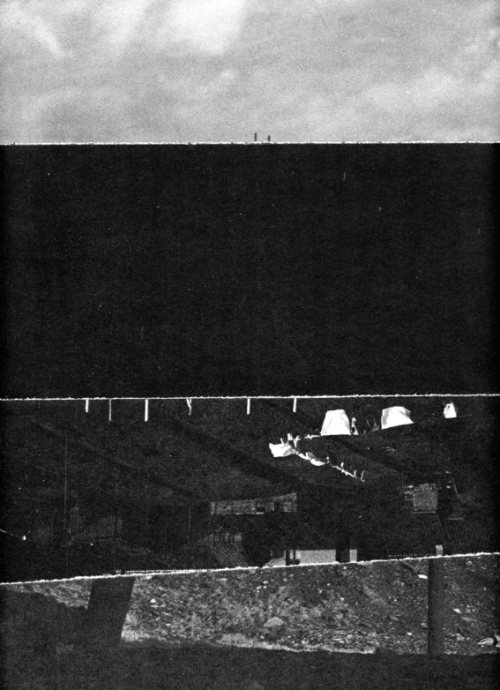 d-m-nagu:  “Going back to the Roots” (poetic landscapes) more on www.facebook.com/d.m.nagu 