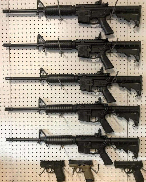 @smithwessoncorp Gun-wall #floridaarms #smithandwesson #mp15 #ar15 #223 #556 #guns #gunsdaily #pewpe