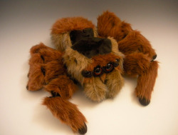labbugs:  addicted2wasps:  shannonpbnj:  modestdemidov:  Jumping Spider Plush by WhittyKitty  black-shucks GIMME ONE NOW! o_o  I need to find this. now. 