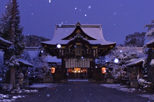 chitaka45: 2019年初雪 北野天満宮  Kitanotenmangu shrine in snow