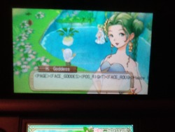 hellyeahharvestmoon:  Birthday Error. -submitted