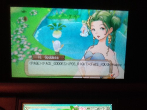 hellyeahharvestmoon:  Birthday Error. -submitted by ladyofjudgment