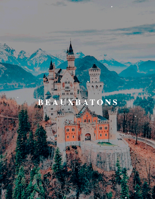 hyppogriff:A wizarding school (also called a magical school) was an educational institution which pr