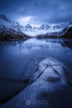 drxgonfly:  bleu (by Jeff Lewis)