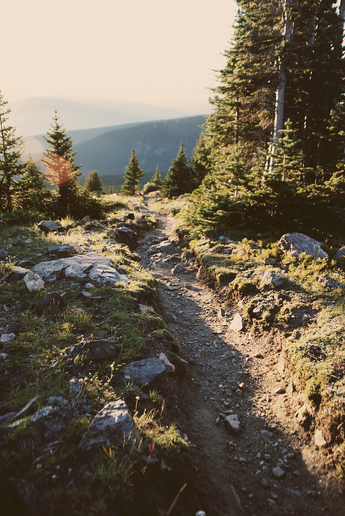 brutalgeneration:  (by Benjamin Brewer) 