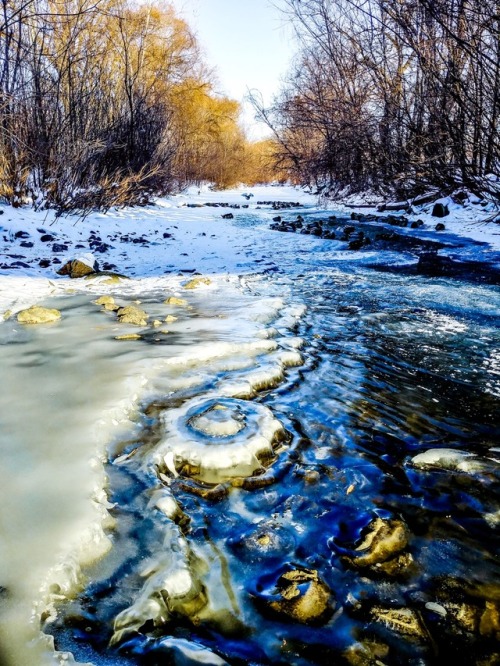 Winter in Michigan