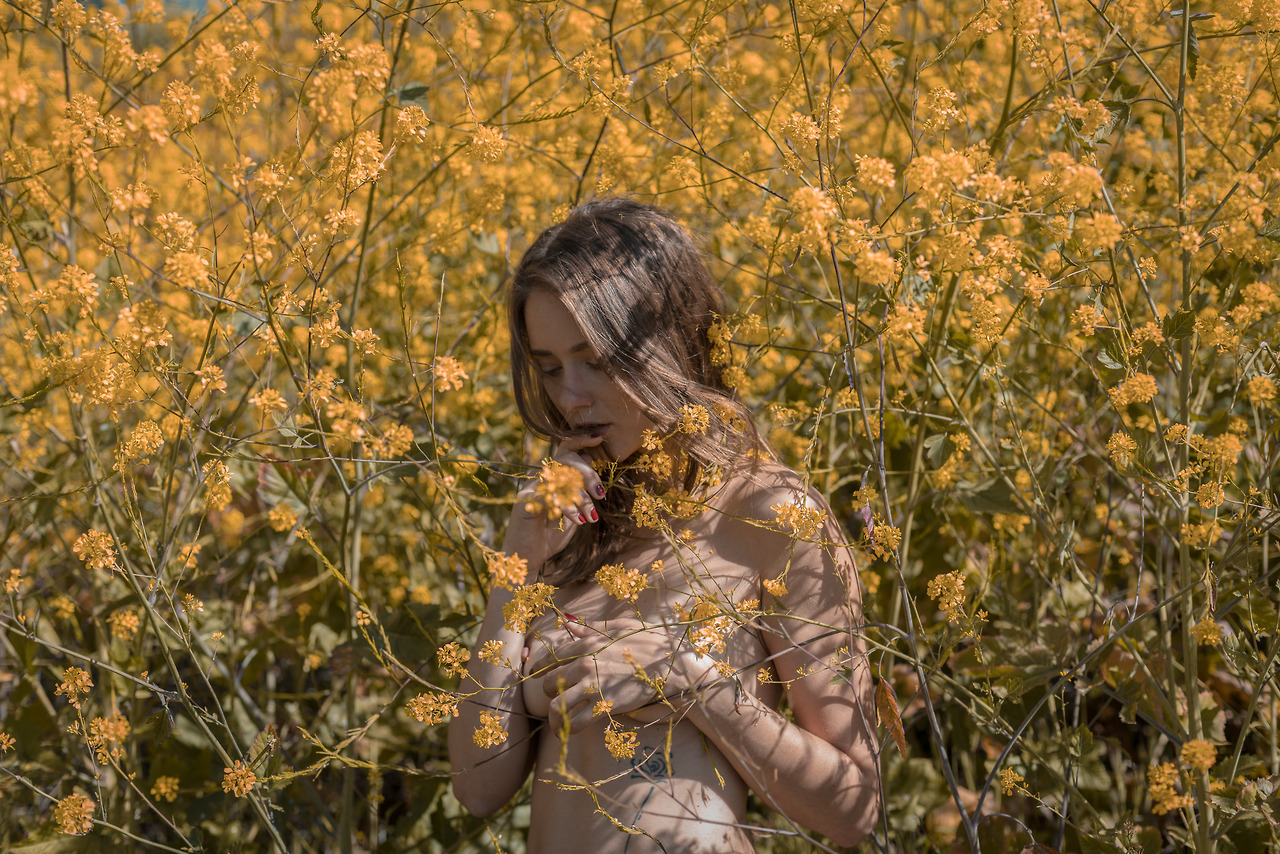 openbooks:  @junestpaul feigning innocence in a field of mustard flowers.Malibu,