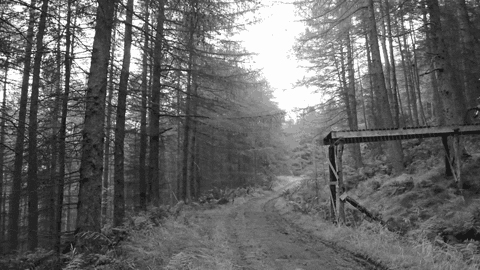 thebikingsquirrel:  Calum road gappin’ 