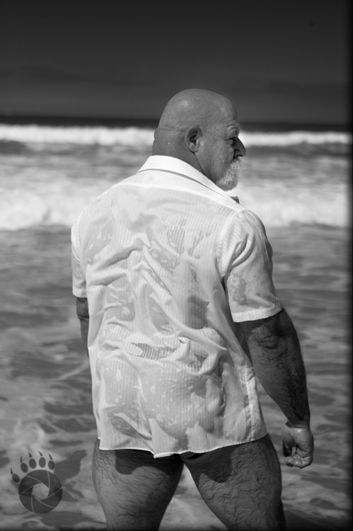 fhabhotdamncobs: richardchubbybear:  Wow. That is perfection! x   W♂♂F     (WARNING!  
