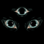 thevoidstalker