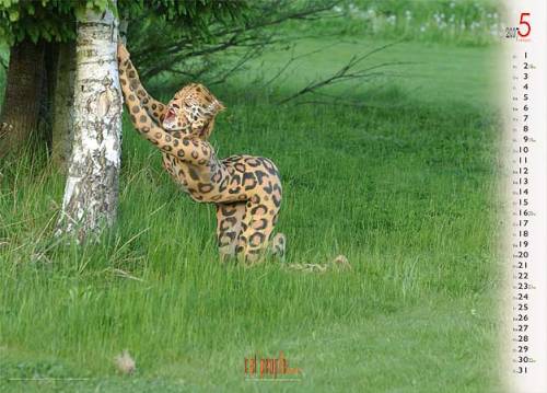 bewilderbeast-petboy:  more weird cats