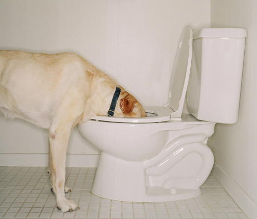 ARCHIMEDES, NO!
