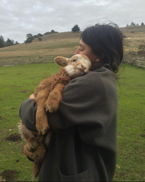 Protect and love the animals.