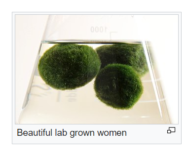 a picture of Marimo moss balls in a beaker captioned: beautiful lab grown women