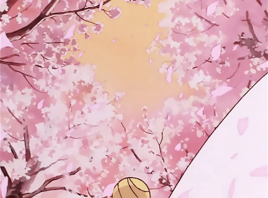 Anime Your Lie in April Gif - Gif Abyss