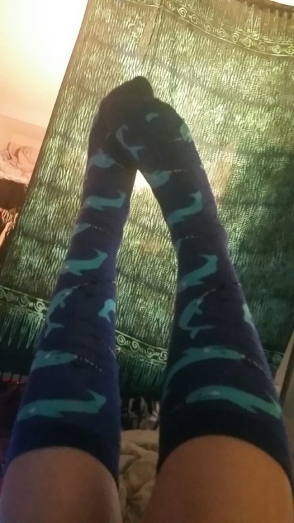 littlekittybumprincess:Narwhal socks! From my other blog but still mee!!