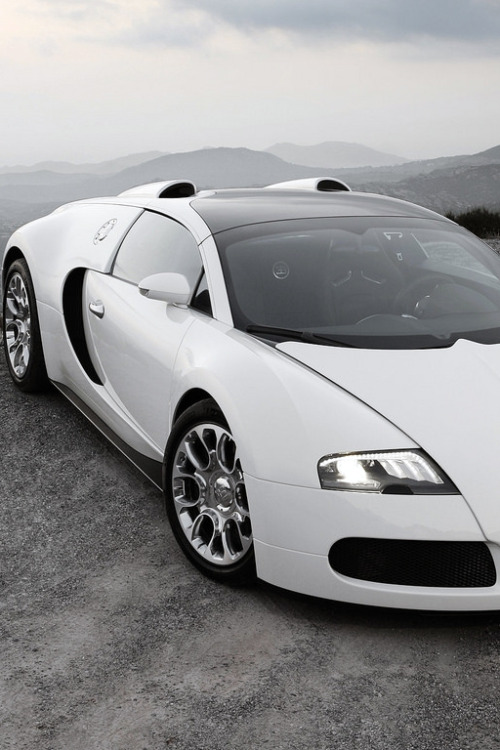  Bugatti Veyron ➜ illest  adult photos