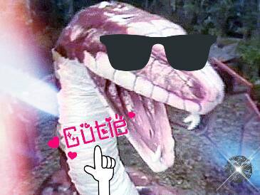 softclassicwho:  snake people or sneople