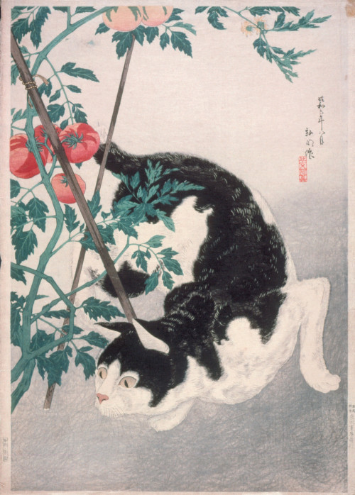 heaveninawildflower:  ‘Cat with Tomato Plant’ (1931) by Takahashi Hiroaki (Japan, 1871-1945).Woodblock print.Image and text information courtesy LACMA.