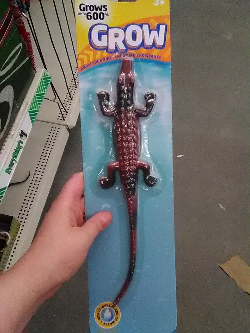 erwynia: erwynia:  alligatorwoman: Grow your own alligator woman Grow  GROW UP TO