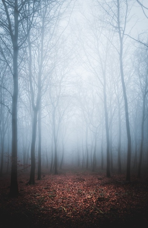 freddie-photography: Bringing back Colour. By Frederick Ardley - Instagram: @Frederickardley