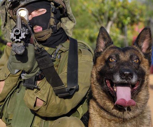 Partners ❤#israel #idf #k9