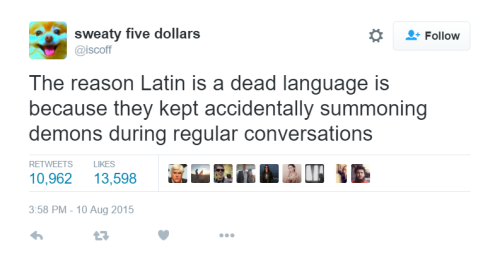 ivan-fyodorovich:thefingerfuckingfemalefury:maverikloki:That’s why we Latin teachers are first