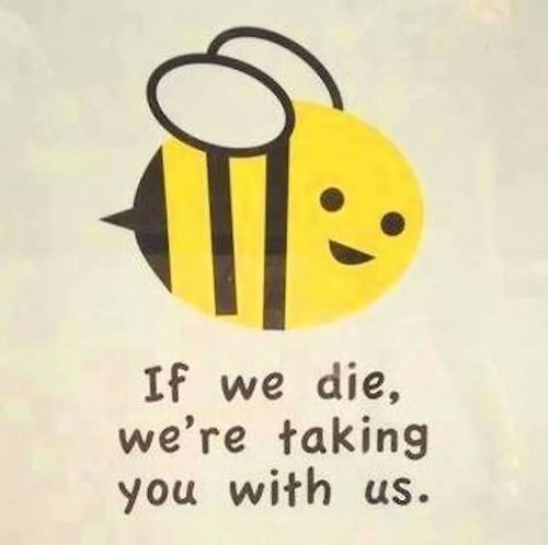 deathbywizard:  Dandelions deserve a gold medal. One of the first links in that magical