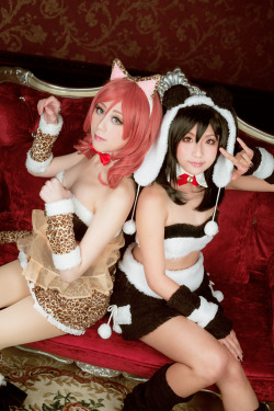 cosplay-soul:  Maki Nishikino & Niko