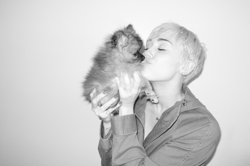terrysdiary: Miley and Moonie at my studio #6