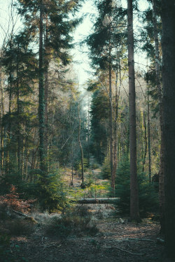 adventures-outdoors:  eyeleaves:  photo by Mimi Chambre   