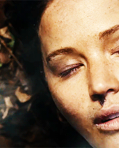 mrjoshutcherson:  Katniss Everdeen, the girl who was on fire, you have provided a