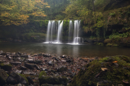 Autumn Falls by Martyn Smith