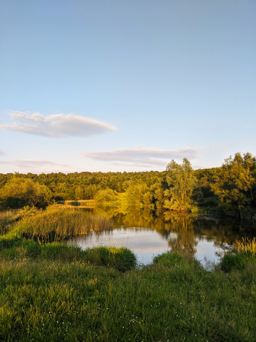 nature reserve