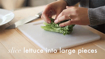 beautifulpicturesofhealthyfood:  Fresh Tofu Spring Rolls…VIDEO Recipe. 