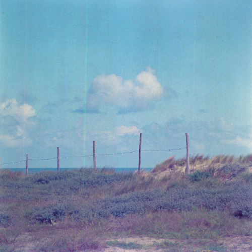 Noordwijk, Netherlands | August 2021 | Hasselblad 500CM on Kodak Ektachrome E160