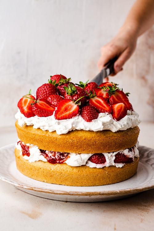 Vegan Victoria spongeVegan Victoria sponge is a dairy-free and eggless take on this classic British 