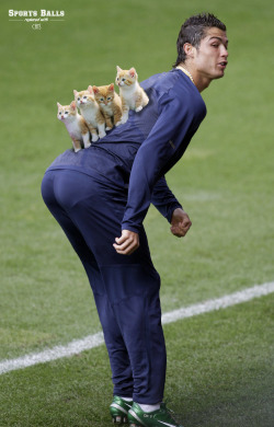 Four kittens on Cristiano Ronaldo’s back part 2