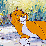 rogeradcliffe:  endless list of animated husbands → Thomas O’Malley (The Aristocats)
