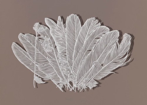 staceythinx:  Intricate paper cuts by Bovey Lee 