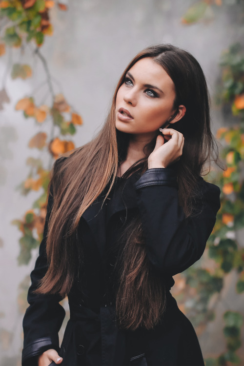 w-canvas:  Autumn’s Colorfall | David Olkarny  