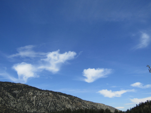 Clouds Leap Free!Apr. 18, 2022Notice how the crafts’ trails cut out where the clouds spiral up