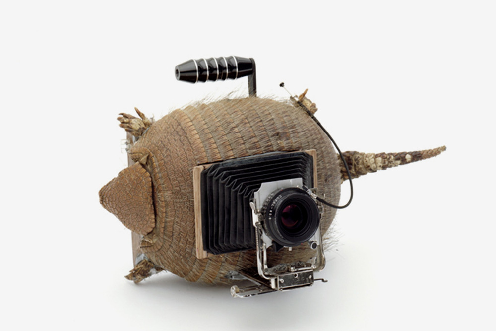 likeafieldmouse:  Taiyo Onorato &amp; Nico Krebs - As Long as it Photographs