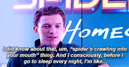 gayspiderman:TOM HOLLAND (aka spider-man) + SPIDERSMy fear of spiders has got worse because everyone